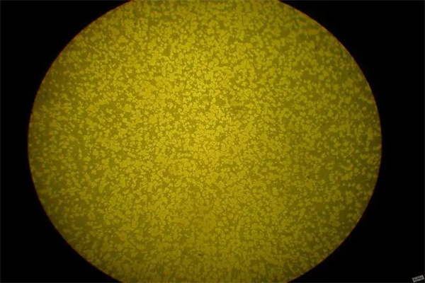 金相分析检验